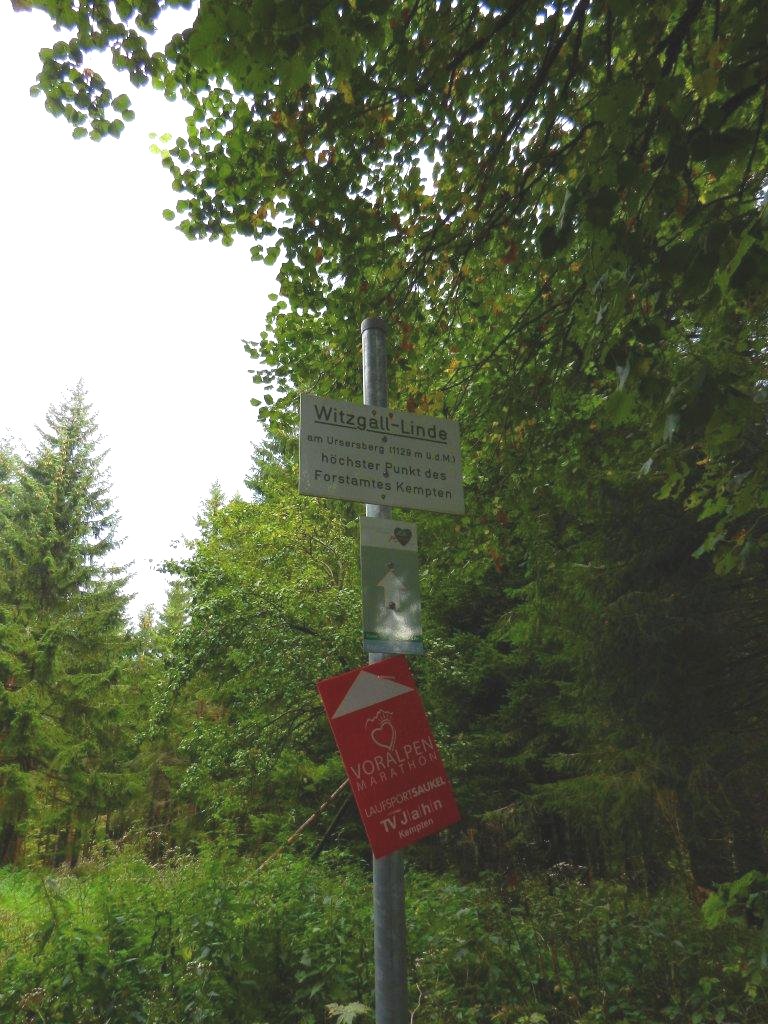 Voralpenmarathon (9)-heller