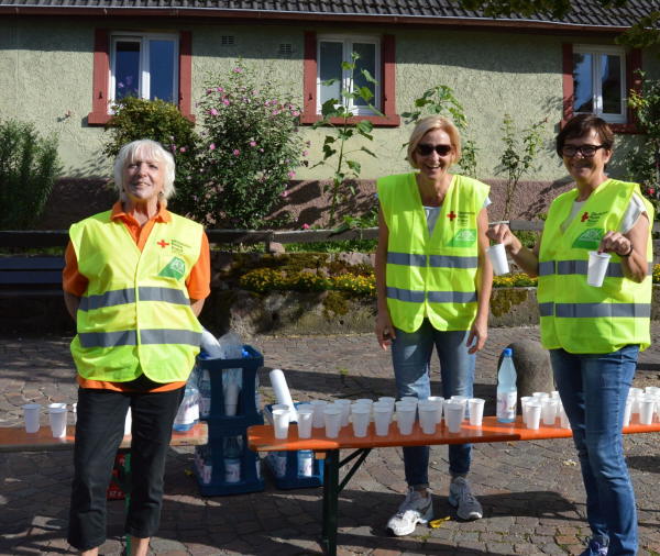 10. SWE-Halbmarathon Ettlingen am 19. August